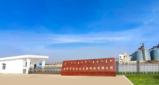 Chifeng Site