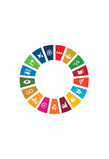 Aligning with the United NationsSustainable Development Goals (UN SDGs)