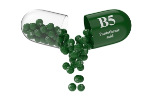 Synthesis of vitamin B5